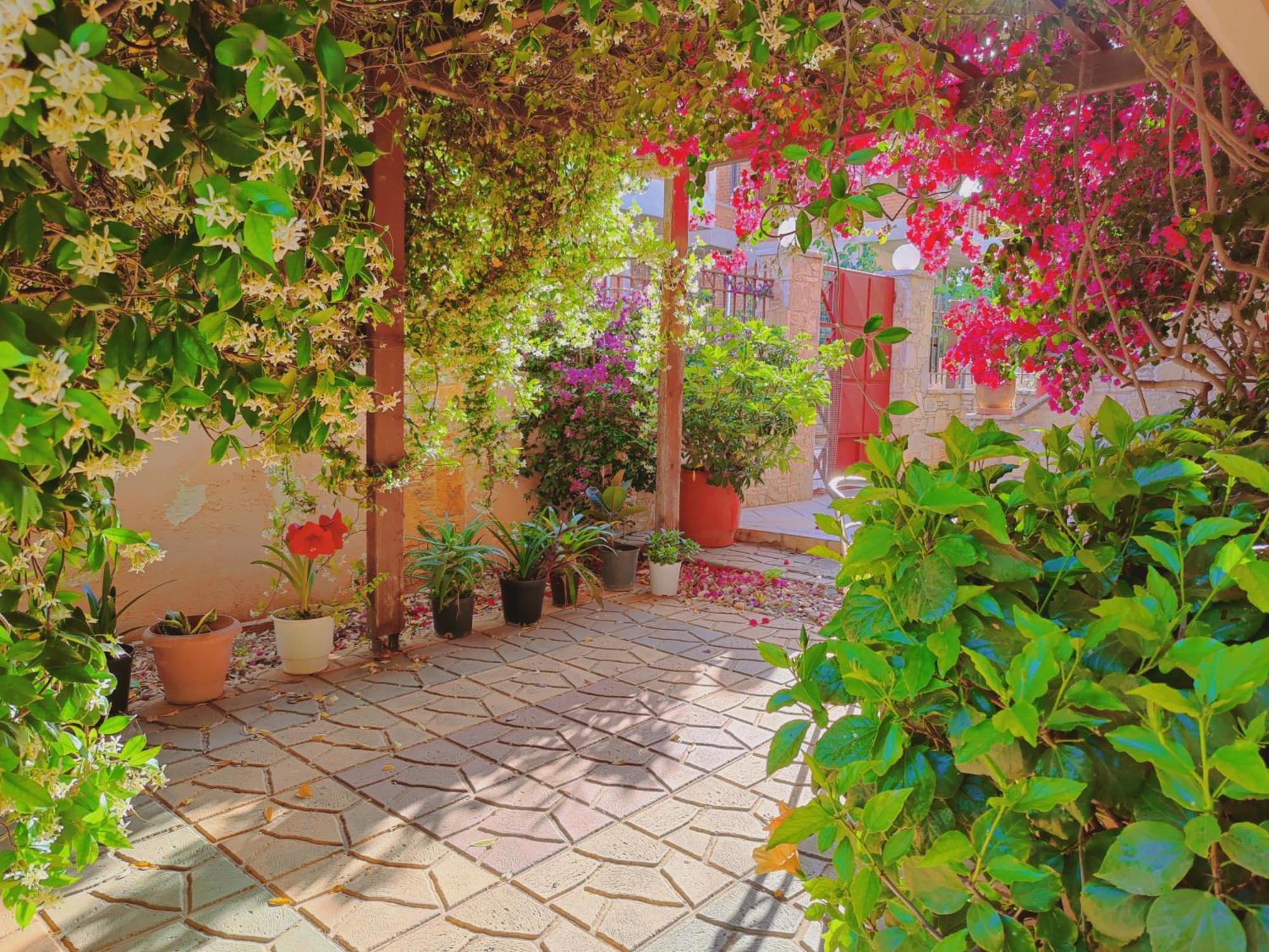 מלון Artemis Garden Near Airport מראה חיצוני תמונה